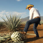 El futuro del mezcal artesanal
