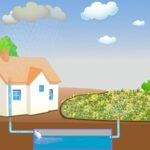 Captación de lluvia: ahorra agua y dinero en la ciudad