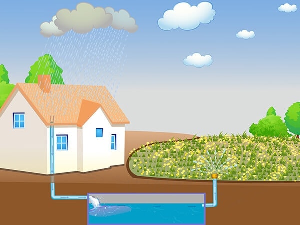 Captación de lluvia: ahorra agua y dinero en la ciudad